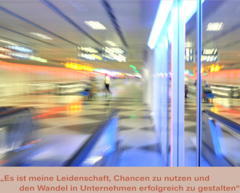 Interim Management